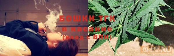 сатива Бугульма