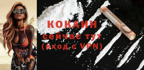 молекула духа Бронницы