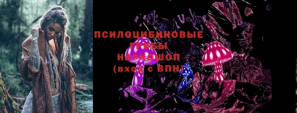 молекула духа Бронницы