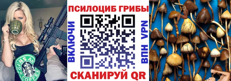 закладки  Раменское  Галлюциногенные грибы мицелий 